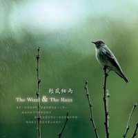 大自然<em>音乐</em>（山海鸟雨）